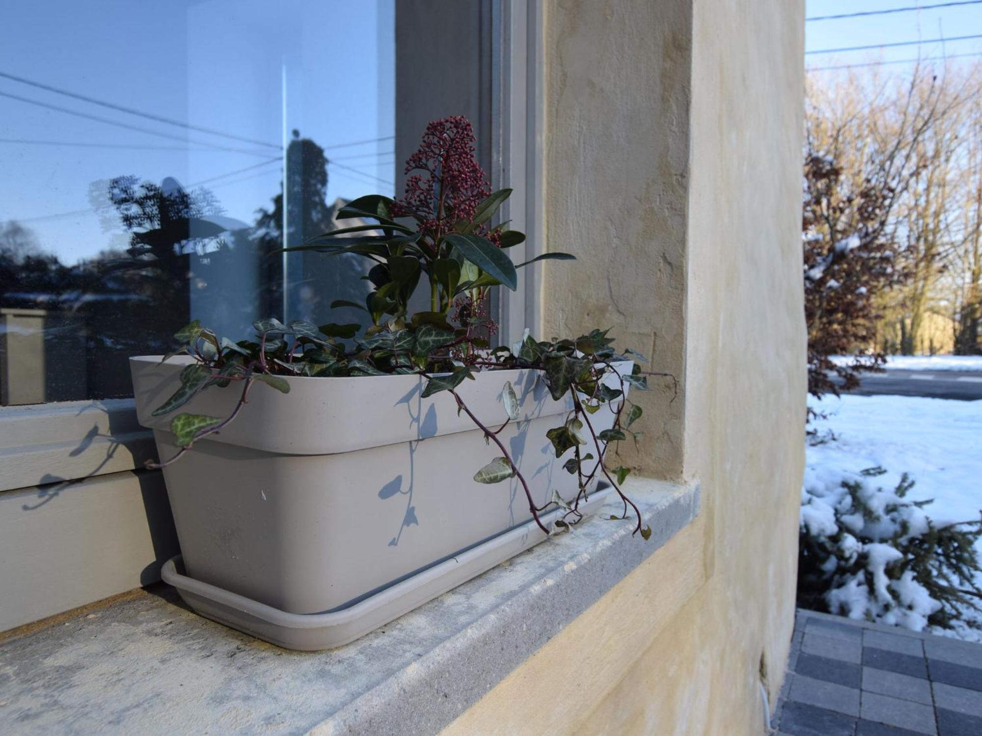 Hébergement de vacances Modern In Florenville With Garden Chassepierre